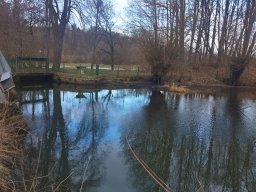 whatsapp image 2026-02-01 at 20.09.06 3